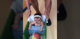 Vicenza-Pesaro, al Menti appello e raccolta fondi della Curva Sud per Nina “la guerriera”