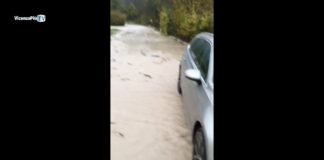 L’Astico straripa alla Pria, centinaia di trote fanno una brutta fine prematura a meno che non trovino ad accoglierle qualche torrente