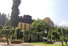 Il “Cipressino”, preludio alla morte di un abete rosso alto 125 metri e di 150 anni a Recoaro Terme