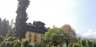 Il “Cipressino”, preludio alla morte di un abete rosso alto 125 metri e di 150 anni a Recoaro Terme