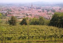 Breganze, grande festa in piazza per la Prima del Torcolato 2018