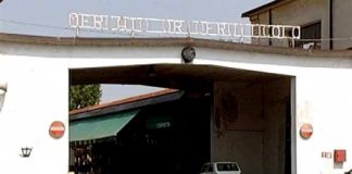 Auto a pagamento al mercato ortofrutticolo, Francesco Rucco (Idea Vicenza): siamo contrari a ennesima gabella locale