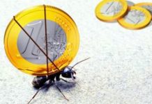 Gestione del risparmio, “La Pecora Verde” propone due incontri per gestire autonomamente il proprio risparmio il 22 e 29 gennaio a Vicenza