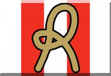 Parte l’asta per il Vicenza Calcio ma non si sa a chi fa capo la R del Lanerossi: al club o a chi tra Polato e gli altri vertici che si sono succeduti in Via Schio?