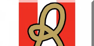 Parte l’asta per il Vicenza Calcio ma non si sa a chi fa capo la R del Lanerossi: al club o a chi tra Polato e gli altri vertici che si sono succeduti in Via Schio?