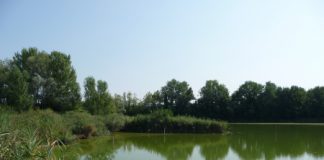 Indagini del NOE su Oasi di Casale temuta “Terra dei Fuochi” locale, Liliana Zaltron (M5S): il comune di Vicenza proceda subito