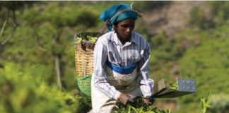 Bassano del Grappa, il gusto dell’equità con immagini dal mondo