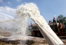 Quote latte, Laura Puppato (PD): “un altro regalo di Zaia da ministro dell’agricoltura”