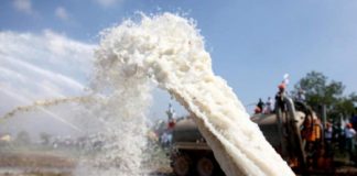 Quote latte, Laura Puppato (PD): “un altro regalo di Zaia da ministro dell’agricoltura”