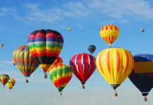 Sovizzo, “Il Paese dei Libri 2018 – Libertà”