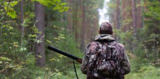 Nomadismo venatorio, Andrea Zanoni (PD): “Il Governo Gentiloni impugna la legge veneta”