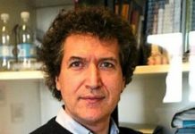 “Le marginalità invisibili”, il Meic di Vicenza organizza il secondo appuntamento sulle “dipendenze patologiche” con il dott. Vincenzo Balestra il 3 marzo