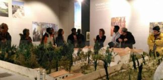 Van Gogh, Caritas Vicentina e Scarp de’ Tenis: lunedì viaggio gratuito nell’arte per una ventina di senzatetto di Vicenza