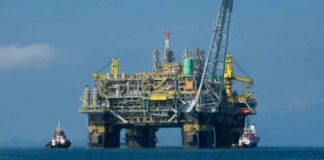 Trivellazioni nel Mare Adriatico, WWF: “il prossimo governo deve pronunciarsi sulle scelte di politica energetica e di tutela ambientale”