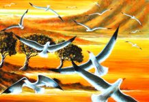 Valdagno, tornano le esposizioni al Caffè Garibaldi