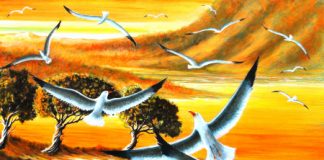 Valdagno, tornano le esposizioni al Caffè Garibaldi