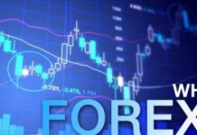 Forex, gli errori che stanno commettendo in tanti