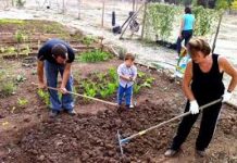 Romano d’Ezzelino, 52 Orti Sociali aiuteranno le famiglie in difficoltà economiche