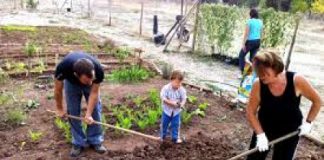 Romano d’Ezzelino, 52 Orti Sociali aiuteranno le famiglie in difficoltà economiche