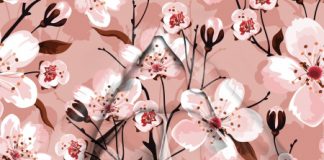 Botanica Erotica, i fiori trasgressivi della vicentina Ketra in mostra a Reggio Emilia