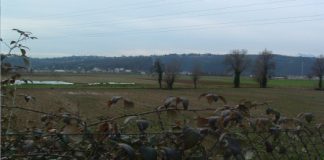 Vittoria, a Vicenza avremo la bretella! Luciano Parolin: ultimo misfatto!