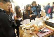 Latte e formaggi in classe per 35 mila alunni: in Veneto al via campagna educativa negli istituti primari di Padova, Vicenza e Treviso