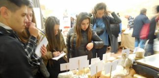 Latte e formaggi in classe per 35 mila alunni: in Veneto al via campagna educativa negli istituti primari di Padova, Vicenza e Treviso