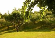 Sovizzo, una conferenza per conoscere le Spurghe di Sant?Urbano