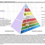 Piramide alimentare: il segreto di una dieta sana è l?equilibrio dei nutrienti