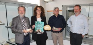 Montecchio Maggiore, i granchi fossili del Museo Zannato in un video già selezionato al Festival Internazionale del Film di Archeologia e Ambiente di Firenze