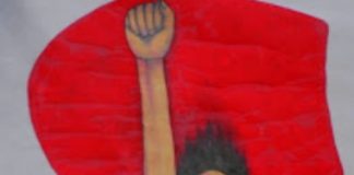 PD fa passi indietro nella parità di genere, Laura Puppato e Rosanna Filippin tra le promotrici di TowandaDem