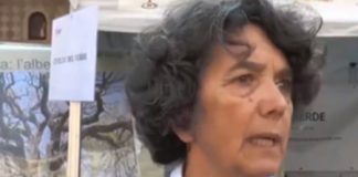 Parco Querini, Romana Caoduro: il punto di vista di Civiltà del Verde sul progetto di recupero delle serre