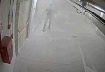 Thiene, 7 adolescenti vandali svuotano un estintore, i genitori pagheranno i danni