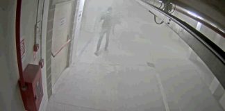 Thiene, 7 adolescenti vandali svuotano un estintore, i genitori pagheranno i danni