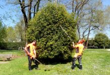 AIM Amcps: la manutenzione del verde diventa ecosostenibile