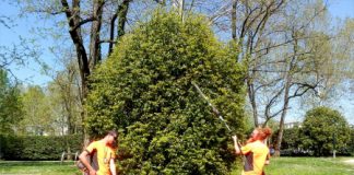 AIM Amcps: la manutenzione del verde diventa ecosostenibile