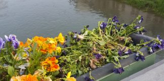 In Italia sfiorisce la democrazia, a Vicenza rimangono a secco le fioriere