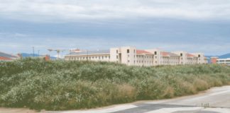 Claudio Cicero: un’amministrazione incapace curare le fioriere di ponte degli Angeli può farlo con i 60 ettari del parco della Pace?