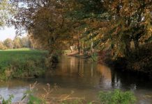 “Dal fragor del Chiampo al cheto Astichello”, il saggio di Giacomo Zanella alla XIII edizione del “suo” premio. La voce del Sileno anno 3