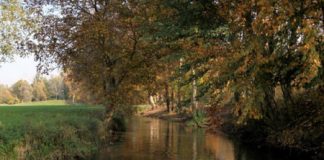 “Dal fragor del Chiampo al cheto Astichello”, il saggio di Giacomo Zanella alla XIII edizione del “suo” premio. La voce del Sileno anno 3