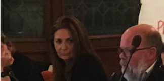 Nessun dispotismo, fosse anche illuminato! Autodafè di un pentastellato di Vicenza. Nello sfondo l’inimicizia tra Ferrarin e Zaltron