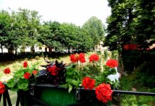 Fioriere in ponti e piazze di Vicenza, intervento di AIM da 16 mila euro