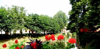 Fioriere in ponti e piazze di Vicenza, intervento di AIM da 16 mila euro