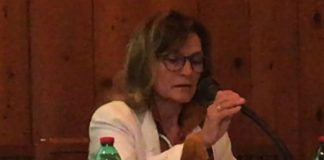 “Le serre di Parco Querini: quando il restauro diventa un pericolo”: l’intervento dell’avv. Mariagrazia Pegoraro per Italia Nostra