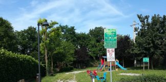 Thiene, trovata marijuana in un parco pubblico a Rozzampia