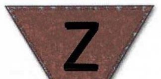 Matteo Salvini e gli ?zingari?, dimenticare è un crimine