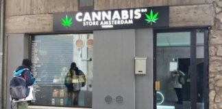 Cannabis light bocciata dal Consiglio Superiore di Sanità, anche a Vicenza. I genitori esultano