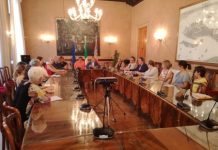 Violenza donne, 1417 farmacie venete fanno rete con i Centri antiviolenza