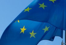 Copyright, Ue precisa: “Wikipedia ed enciclopedie online escluse da nuove regole”