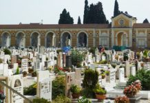 Cimiteri chiusi, AIM Amcps: “trattamento antizanzara”